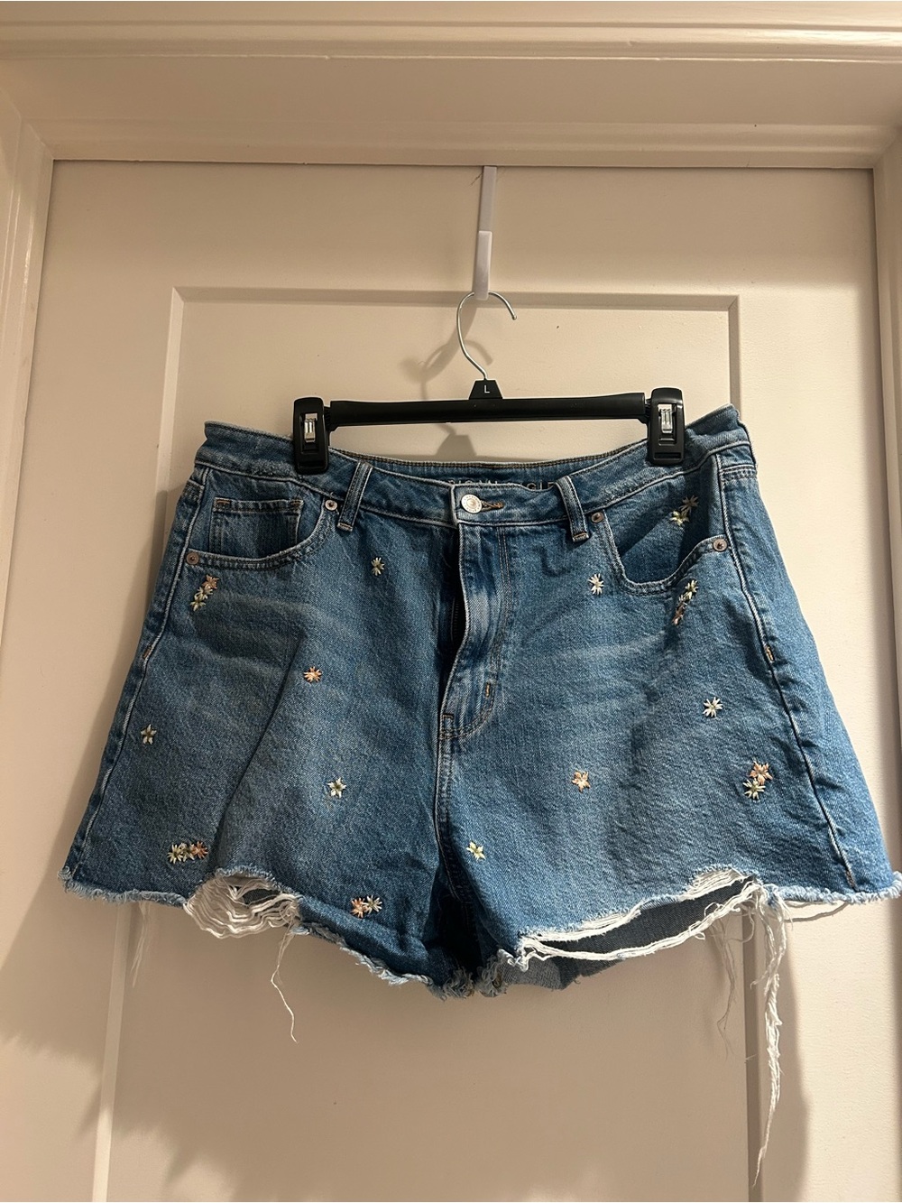 American Eagle Outfitters Light Blue Embroidered Denim Shorts